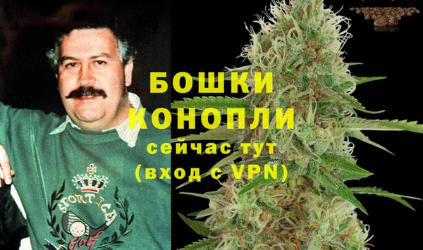 ПСИЛОЦИБИНОВЫЕ ГРИБЫ Переславль-Залесский