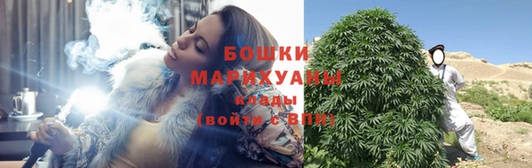 ПСИЛОЦИБИНОВЫЕ ГРИБЫ Переславль-Залесский